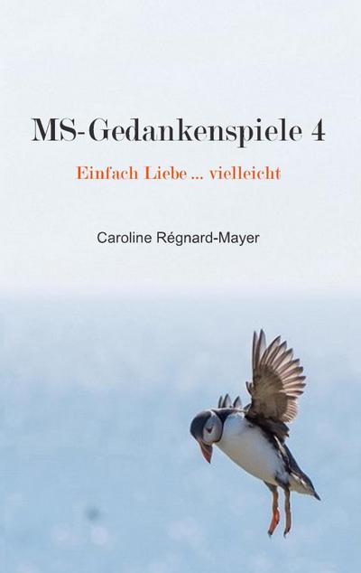 MS-Gedankenspiele 4