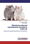 Phthalate-induced reproductive toxicity in male ra