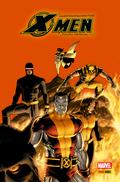 Surpreendentes X-Men - Edição definitiva vol. 02