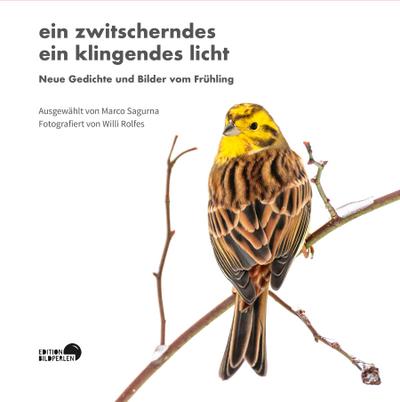 ein zwitscherndes ein klingendes licht: Neue Gedichte und Bilder vom Frühling
