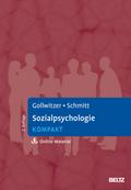 Sozialpsychologie kompakt