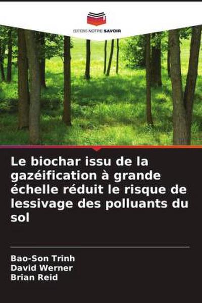 Le biochar issu de la gazéification à grande échelle réduit le risque de lessivage des polluants du sol