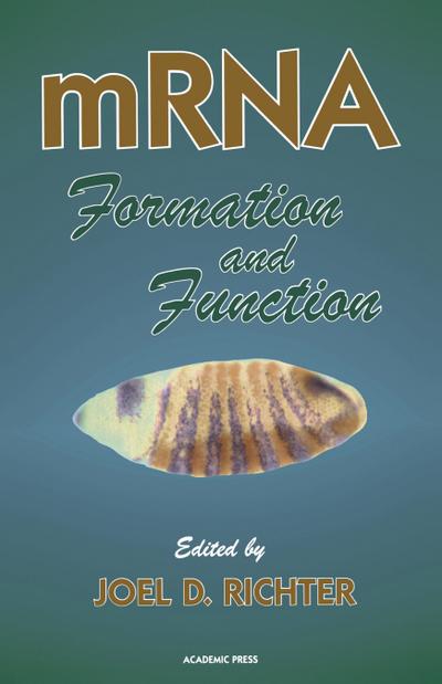 mRNA Formation and Function
