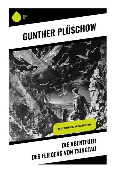 Die Abenteuer des Fliegers von Tsingtau