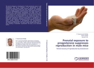 Prenatal exposure to progesterone suppresses reproduction in male mice