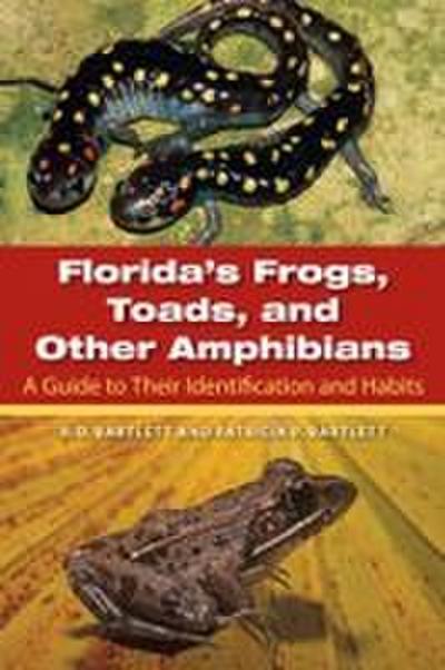 Florida’s Frogs, Toads, and Other Amphibians