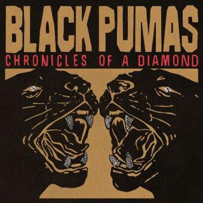 Chronicles Of A Diamond, 1 Audio-CD