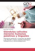 Glándulas salivales menores humanas palatinas y li