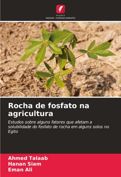 Rocha de fosfato na agricultura