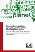 Review of combustion, pyrolysis, gasification in biomass power plants