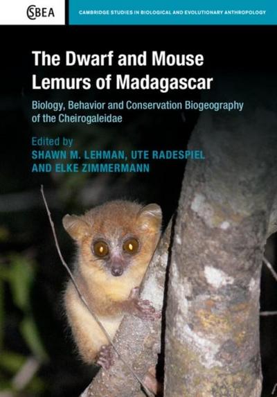 Dwarf and Mouse Lemurs of Madagascar