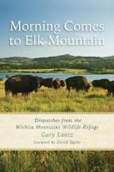 Morning Comes to Elk Mountain