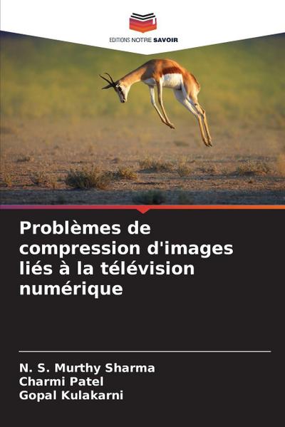 Problèmes de compression d’images liés à la télévision numérique