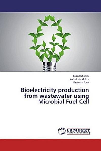 Bioelectricity production from wastewater using Microbial Fuel Cell