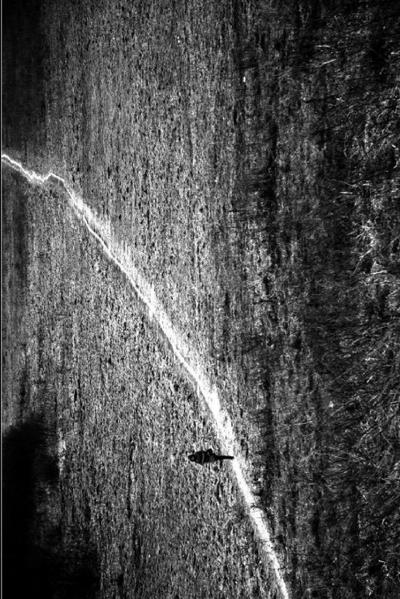 The Narrow Path - The Road Less Travelled