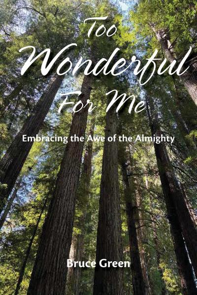 Too Wonderful for Me