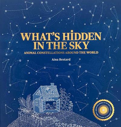 What’s Hidden in the Sky