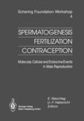 Spermatogenesis Fertilization Contraception
