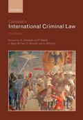 Cassese's International Criminal Law by Antonio Cassese Paperback | Indigo Chapters