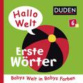 Duden 6+: Hallo Welt: Erste Wörter: Babys Welt in Babys Farben (DUDEN Pappbilderbücher 6+ Monate, Band 4)