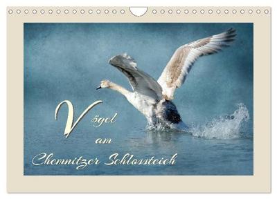 Vögel am Chemnitzer Schlossteich (Wandkalender 2027 DIN A4 quer), CALVENDO Monatskalender