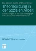 Theoriebildung der Sozialen Arbeit