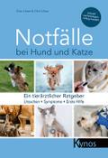 Notfälle bei Hund und Katze