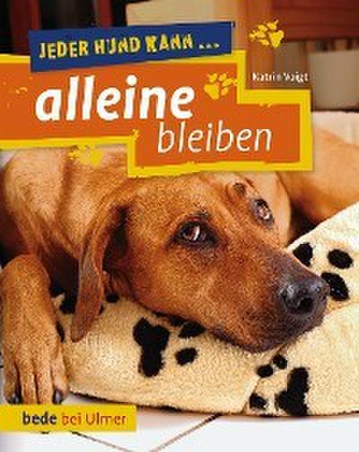 Jeder Hund kann alleine bleiben