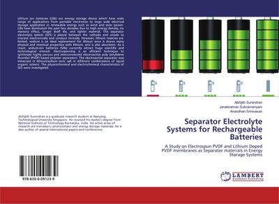 Separator Electrolyte Systems for Rechargeable Batteries