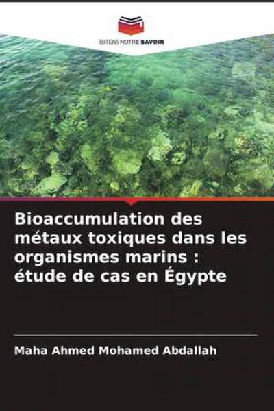 Bioaccumulation des métaux toxiques dans les organismes marins : étude de cas en Égypte