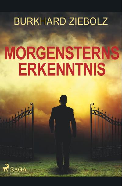 Morgensterns Erkenntnis - Kriminalroman aus Niedersachsen