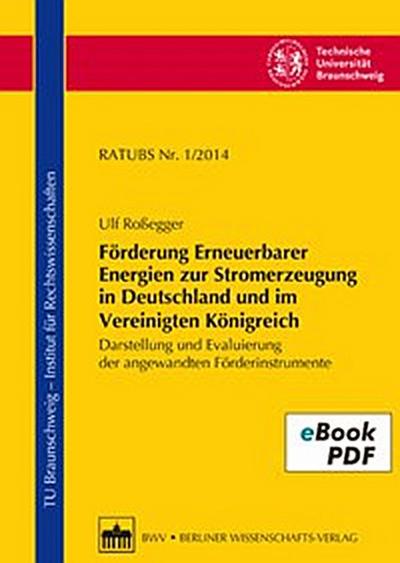 Förderung Erneuerbarer Energien zur Stromerzeugung in Deutschland und im Vereinigten Königreich