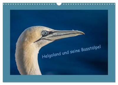 Helgoland und seine Basstölpel (Wandkalender 2026 DIN A3 quer), CALVENDO Monatskalender