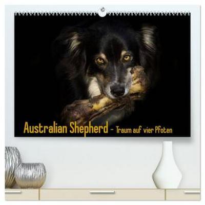 Australian Shepherd - Traum auf vier Pfoten (hochwertiger Premium Wandkalender 2026 DIN A2 quer), Kunstdruck in Hochglanz