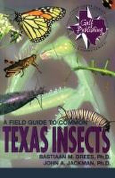 A Field Guide to Common Texas Insects