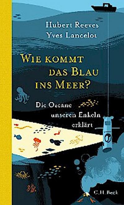Wie kommt das Blau ins Meer?