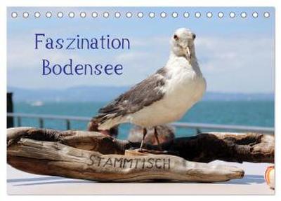 Faszination Bodensee (Tischkalender 2026 DIN A5 quer), CALVENDO Monatskalender