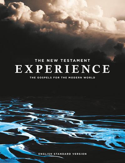 The New Testament Experience