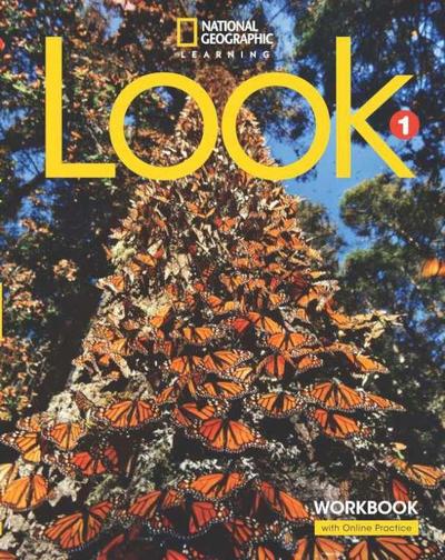 Look 1: Workbook with the Spark Platform (Bre)