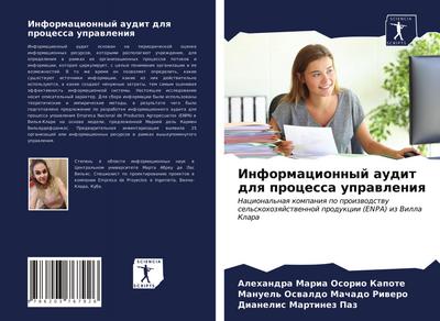 Informacionnyj audit dlq processa uprawleniq