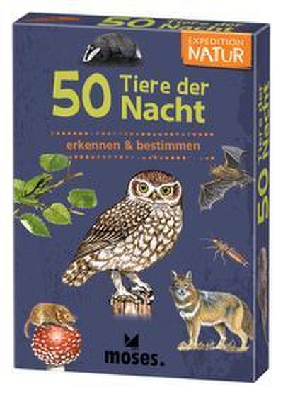 50 Tiere der Nacht