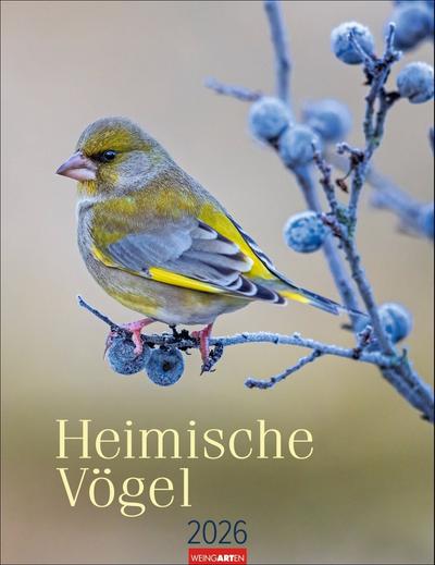 Heimische Vögel Kalender 2026