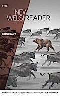 New Welsh Reader