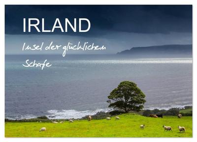 IRLAND - Insel der glücklichen Schafe (Wandkalender 2026 DIN A3 quer), CALVENDO Monatskalender