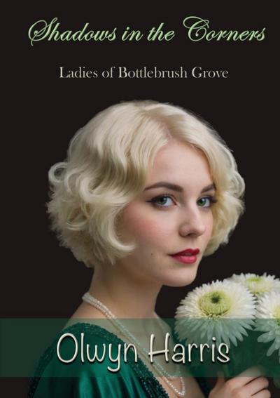 Shadows in the Corners