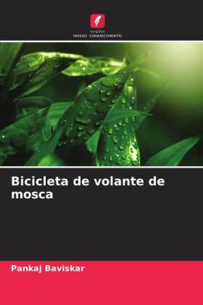 Bicicleta de volante de mosca