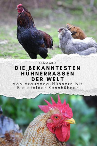 Die bekanntesten Hühnerrassen der Welt