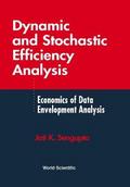 DYNAMIC & STOCHASTIC EFFICIENCY ANALYSIS