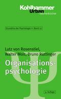Organisationspsychologie