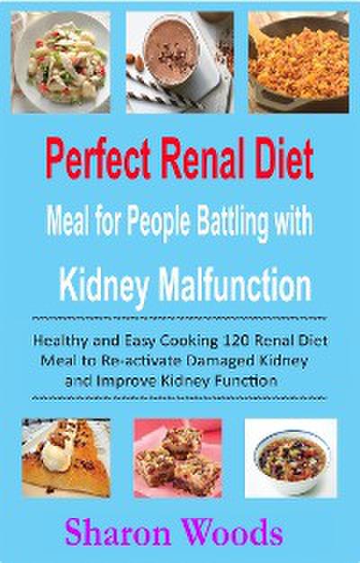 Perfect Renal Diet Meal for People Battling with Kidney Malfunction